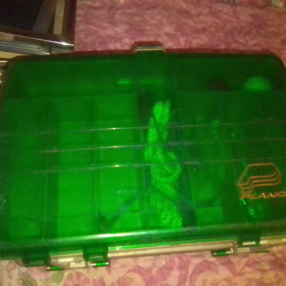 Green Fish Habitat Explorer